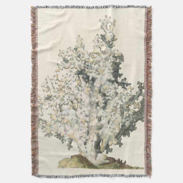 Couverture Corail d'aquarelle antique (devant Vertical)