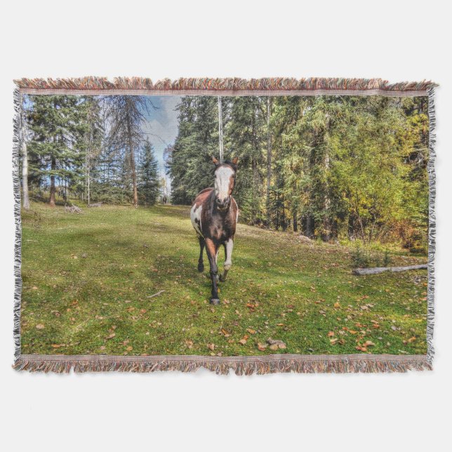 Couverture Courir Pinto Paint Horse & Forest sur Ranch (Devant)