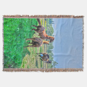 Couverture Courir Pinto Peinture Gelding & Stallions châtaign