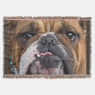 Couverture Coussin de jet de Bouledogue Anglais