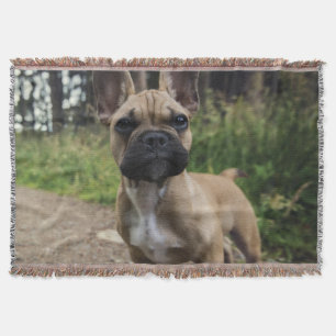 Couverture Coussin de lancer Bouledogue Français