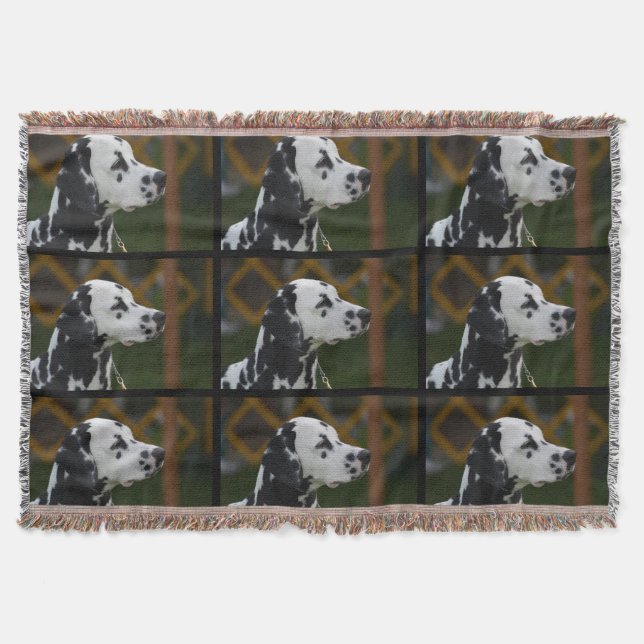 Couverture Dalmate repéré par bonbon (Devant)