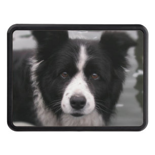 Couverture D'attelage De Remorque Chien de border collie
