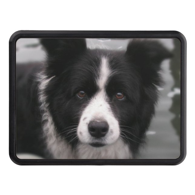Couverture D'attelage De Remorque Chien de border collie (Devant)