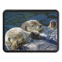 couverture d'accroc de Mer-loutres