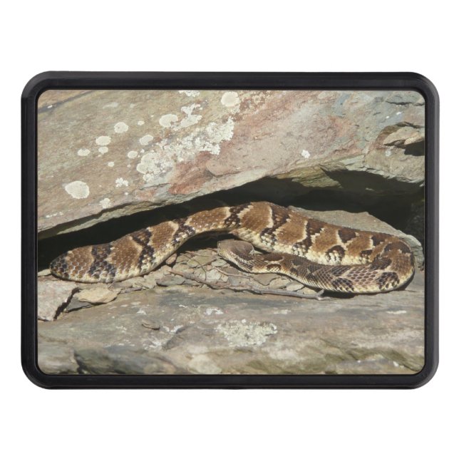 Couverture D'attelage De Remorque Crotale dans le parc national de Shenandoah (Devant)