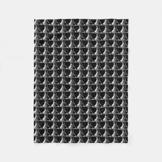 Couverture de corbeau Esprit autochtone Couverture (Devant)