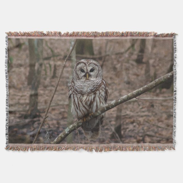 Couverture de jet de hibou barré de stupéfaction (Devant)