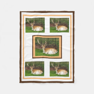 Couverture de la flotte de cerfs en jachère
