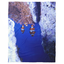 Couverture de la flotte de poisson