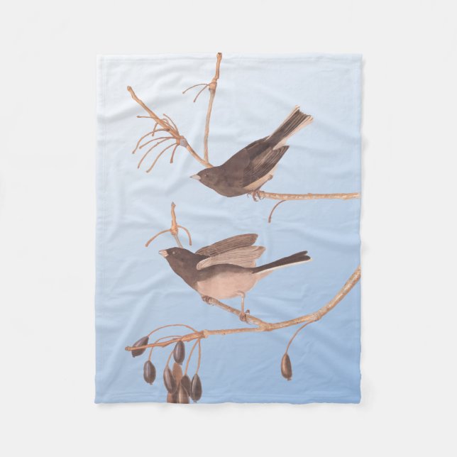 Couverture de la flotte d'Oiseau de Neige Audubon (Devant)