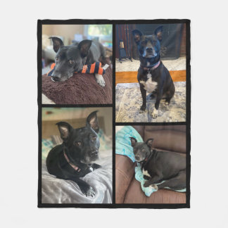 Couverture de la flotte photo de chien personnalis