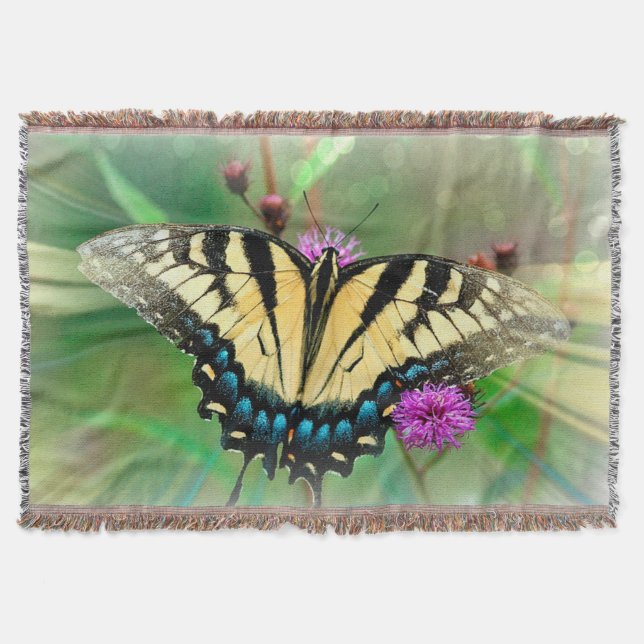 Couverture de lancement de papillon (Devant)