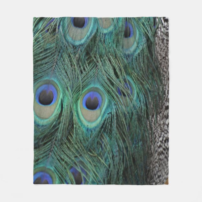 Couverture de plume de paon (Devant)