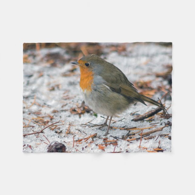 Couverture de Robin (Devant (Horizontal))