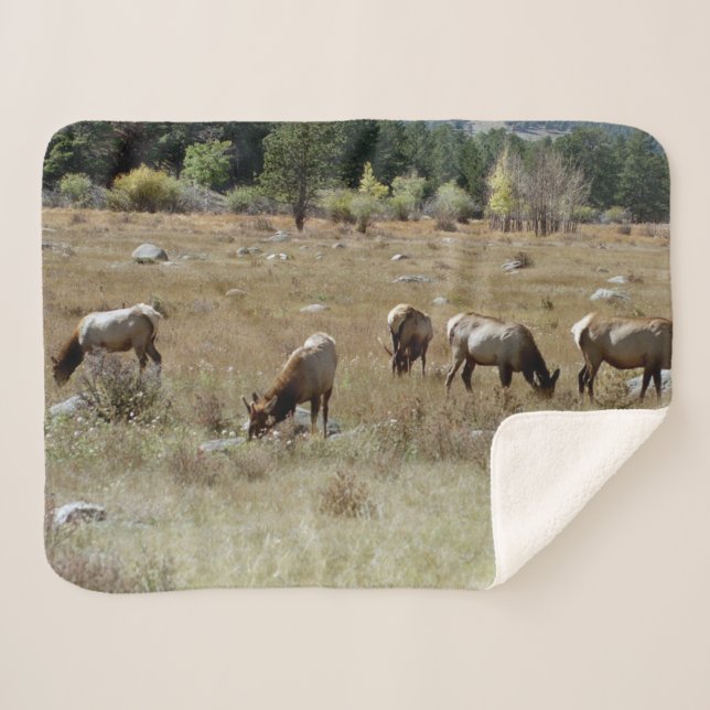 Couverture de sherpa d'Elk (Devant (Horizontal))