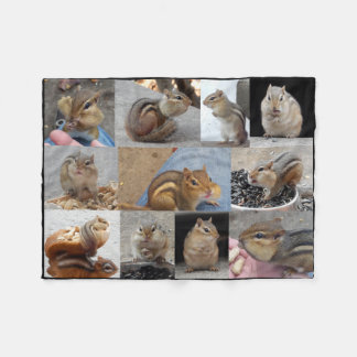 Couverture de tamia d'ouatine avec 11 Chipmunks.
