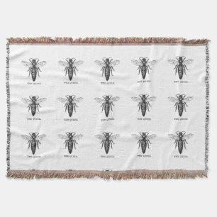 Couverture Dessin classique de l'illustration de Queen Bee