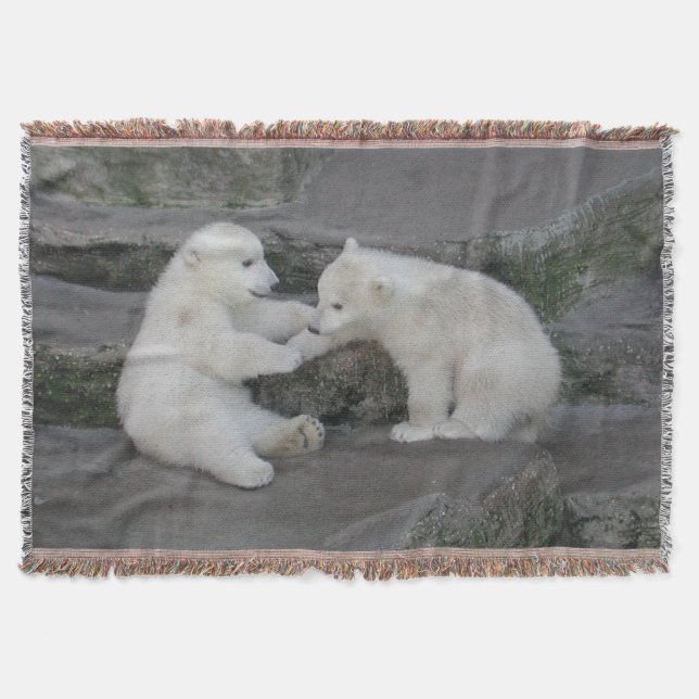 Couverture Deux Cubes Ours Polaires (Devant)