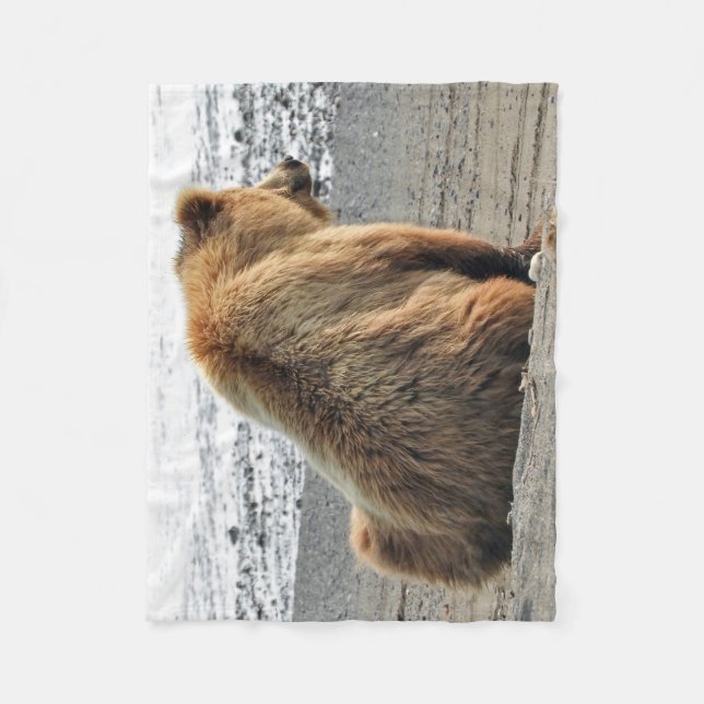 Couverture d'ouatine avec l'ours gris (Devant)