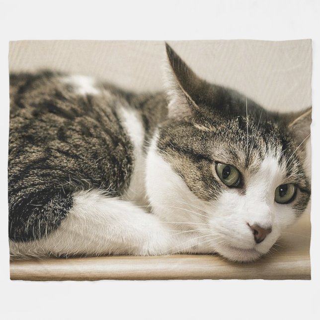 Couverture d'ouatine d'amoureux de les chats (Devant (Horizontal))