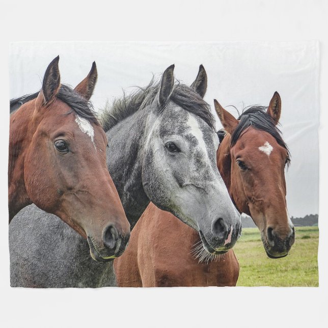 Couverture d'ouatine de chevaux (Devant (Horizontal))