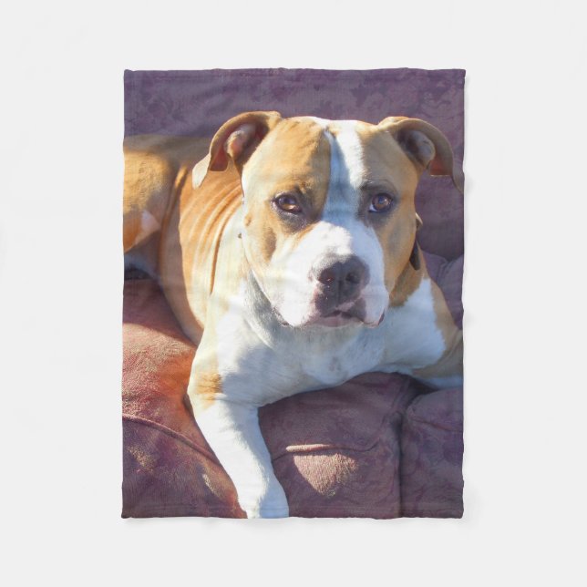 Couverture d'ouatine de chien de Pitbull (Devant)