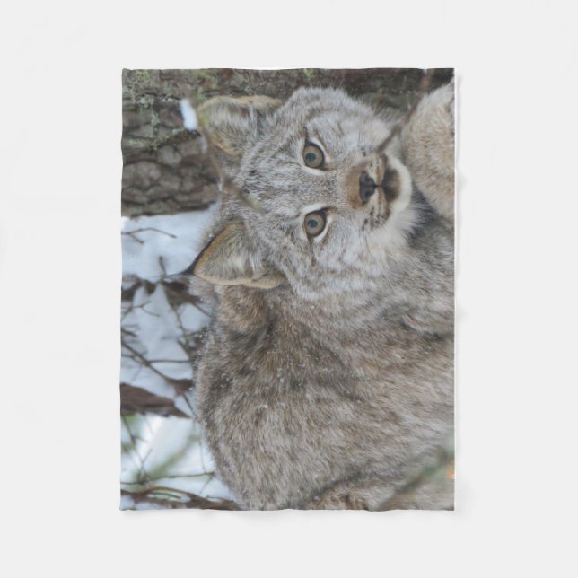 Couverture d'ouatine de Lynx de Canadien (Devant)