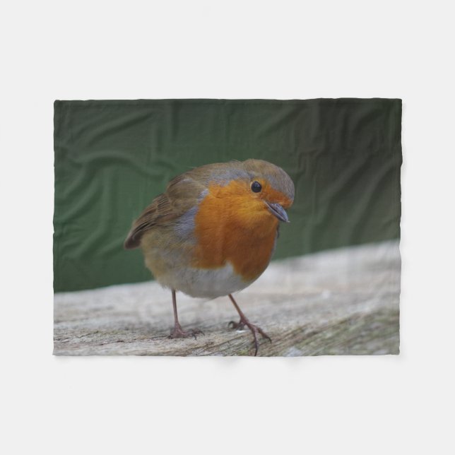 Couverture d'ouatine de Robin (Devant (Horizontal))