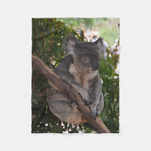Couverture douce d'ouatine d'ours de koala