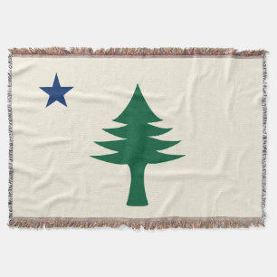 Couverture Drapeau du Maine 1901