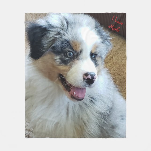 Couverture en polaire, moyenne (Devant)