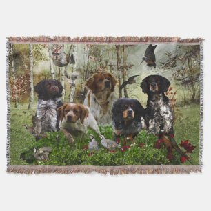 Couverture Épagneuls bretons, chasse aux oiseaux