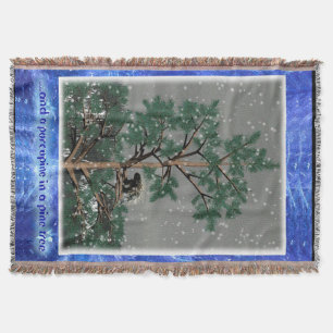 Couverture Et Une Porcupine Dans Un Pin Tree