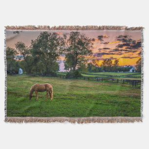 Couverture États-Unis, Lexington, Kentucky. Cheval solitaire