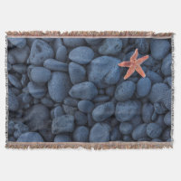 Étoiles de mer sur les roches noires le long de la