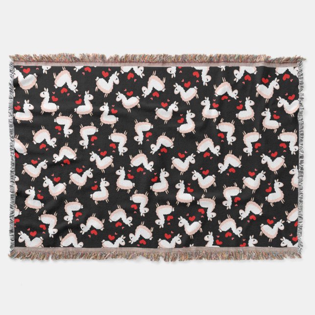 Couverture Folie de lama (Devant)