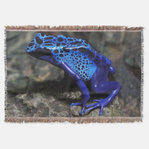 Couverture Grenouille bleue poison, grenouille bleue vive