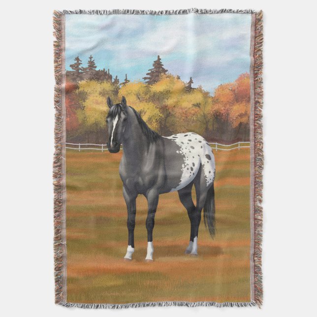 Couverture Gris Grulla Appaloosa Quartier Horse Stallion (devant Vertical)