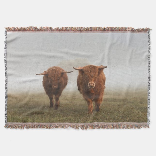 Couverture Highland Cow Woven Blanket (Devant)