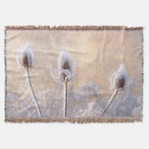 Couverture Hoarfrost on Teasels a Winter Photo Pittoresque -