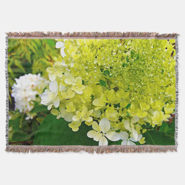 Couverture Hydrangea Limelight Vert Chartreuse Élégant (Devant)