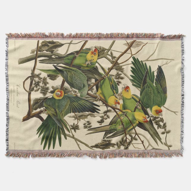 Couverture Illustration Audubon Carolina Parrot Bird (Devant)