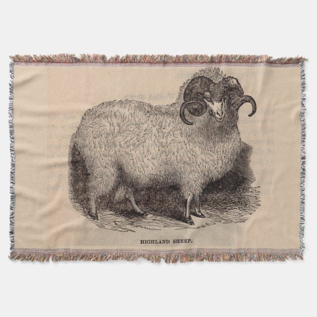 Couverture Imprimerie du 19e siècle moutons des Highlands (Devant)