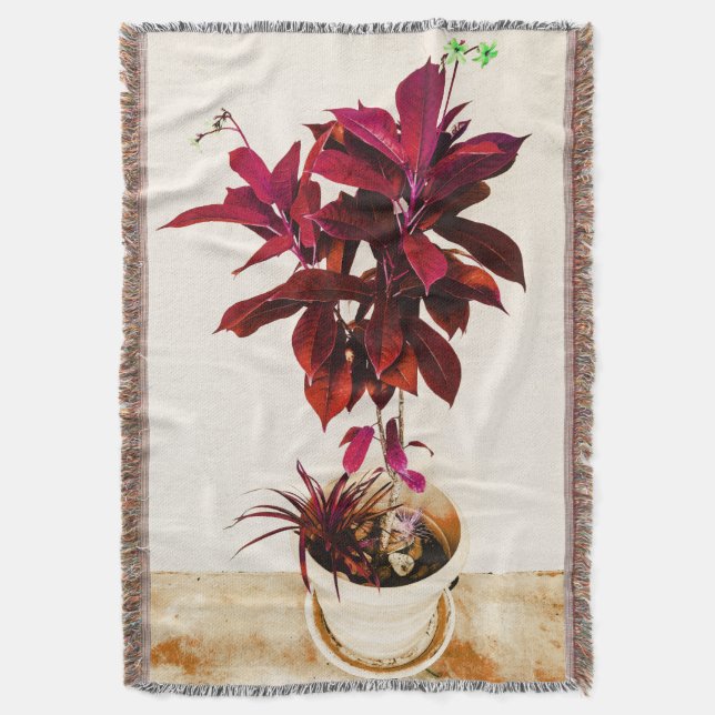 Couverture Jatropha Plante en rouge profond (devant Vertical)