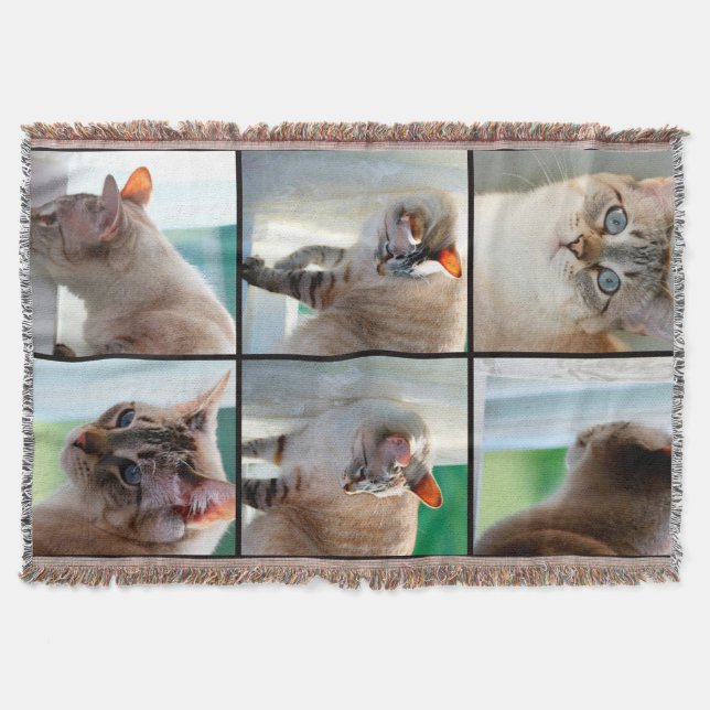 Couverture Jeter couverture/Tabby en argent Siamese (Devant)