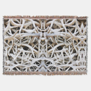 Couverture Jeter des Antlers d'élans blancs