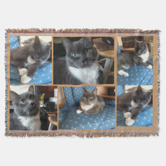 Couverture "Jets de l'amitié de rêves doux