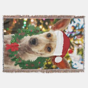 Couverture Joie au chiot