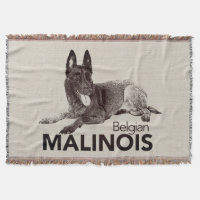k9 unité - Malinois - berger belge - Mechelaar